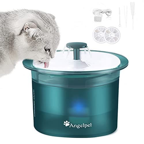Angelpet 2Lレビュー【2026年版】|デメリットも含め正直評価