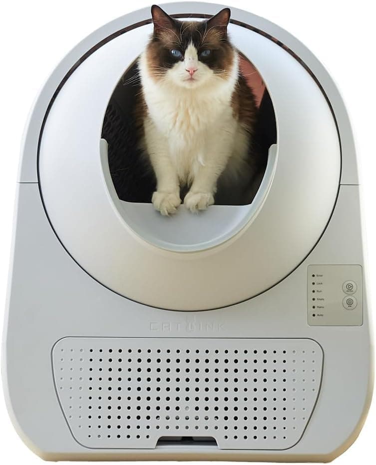 CATLINK YOUNG